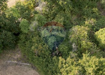 Vista drone rudere 01 - Terreno agricolo Via Giardino Campioli 10
snc, Terre Roveresche - foto 5