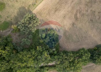 Vista drone rudere 02 - Terreno agricolo Via Giardino Campioli 10
snc, Terre Roveresche - foto 6