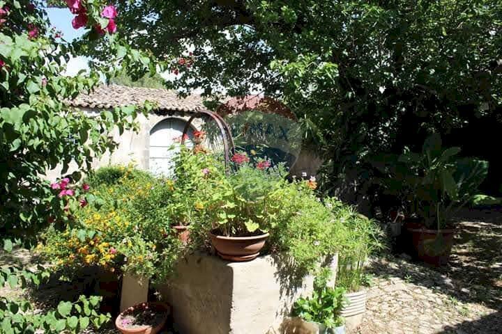Giardino - Independent house Contrada Ponte, Chiaramonte Gulfi - photo 2