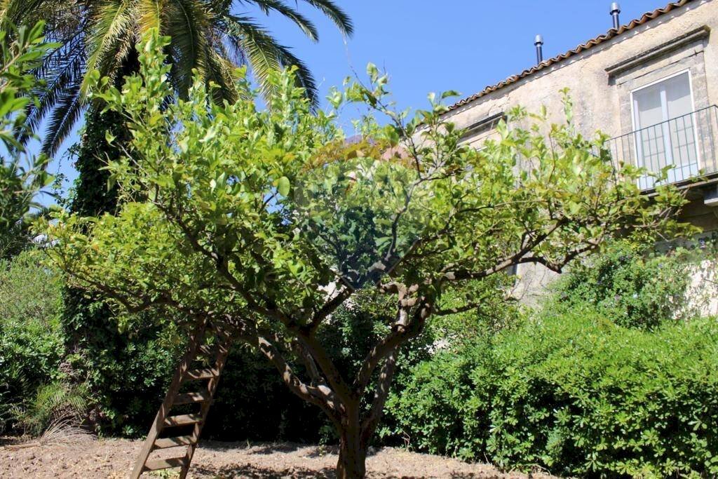 Giardino - Independent house Contrada Ponte, Chiaramonte Gulfi - photo 3