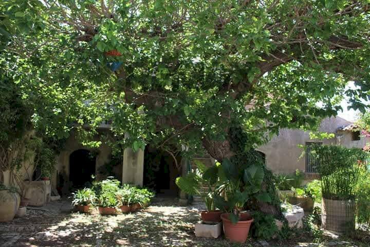 Giardino - Independent house Contrada Ponte, Chiaramonte Gulfi - photo 2