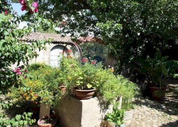 Giardino - Casa indipendente Contrada Ponte, Chiaramonte Gulfi - foto 2