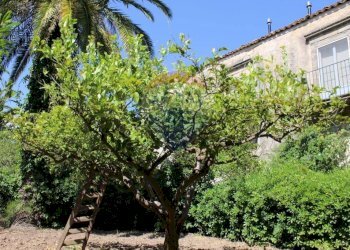 Giardino - Casa indipendente Contrada Ponte, Chiaramonte Gulfi - foto 3