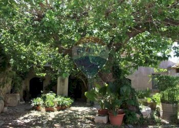 Giardino - Casa indipendente Contrada Ponte, Chiaramonte Gulfi - foto 40