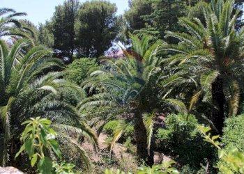 Giardino - Casa indipendente Contrada Ponte, Chiaramonte Gulfi - foto 41