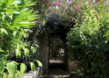 Giardino - Casa indipendente Contrada Ponte, Chiaramonte Gulfi - foto 42
