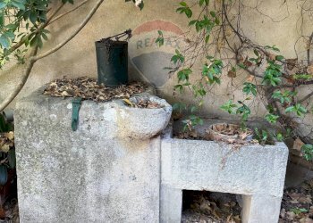 Giardino - Casa indipendente Contrada Ponte, Chiaramonte Gulfi - foto 49