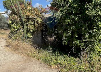 Giardino - Casa indipendente Contrada Ponte, Chiaramonte Gulfi - foto 52