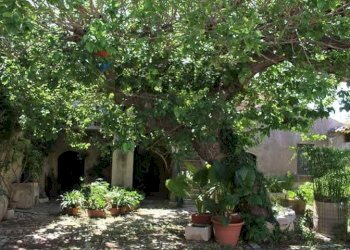 Giardino - Casa indipendente Contrada Ponte, Chiaramonte Gulfi - foto 2