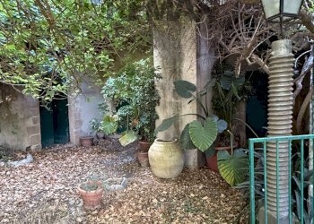 Giardino - Casa indipendente Contrada Ponte, Chiaramonte Gulfi - foto 4