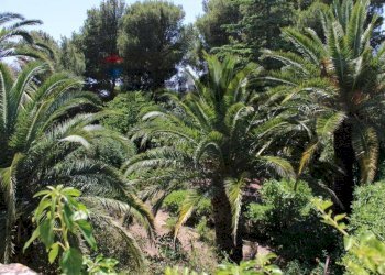 Giardino - Casa indipendente Contrada Ponte, Chiaramonte Gulfi - foto 6