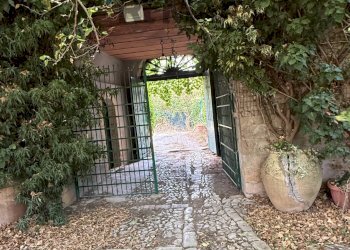 Giardino - Casa indipendente Contrada Ponte, Chiaramonte Gulfi - foto 13