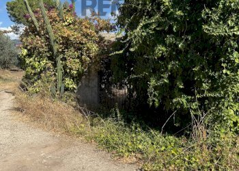 Giardino - Casa indipendente Contrada Ponte, Chiaramonte Gulfi - foto 48