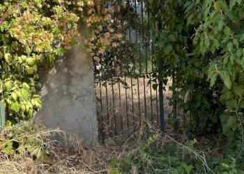 Giardino - Casa indipendente Contrada Ponte, Chiaramonte Gulfi - foto 49