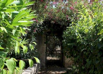 Giardino - Casa indipendente Contrada Ponte, Chiaramonte Gulfi - foto 67