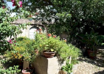 Giardino - Casa indipendente Contrada Ponte, Chiaramonte Gulfi - foto 69