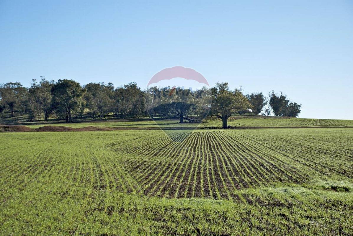 Terreno - Terreno edificabile Contrada Le Schiette
 
snc, Riesi - foto 1