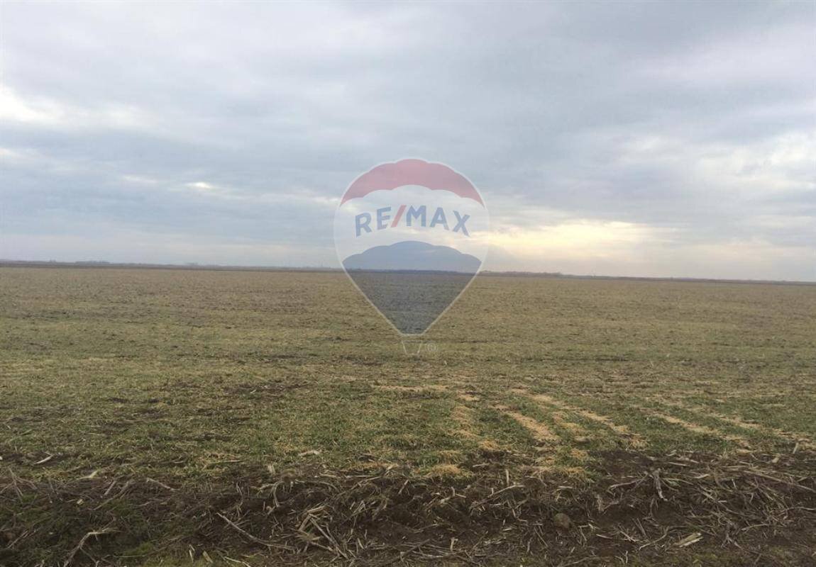 Vista terreno - Terreno edificabile Contrada Le Schiette
 
snc, Riesi - foto 2