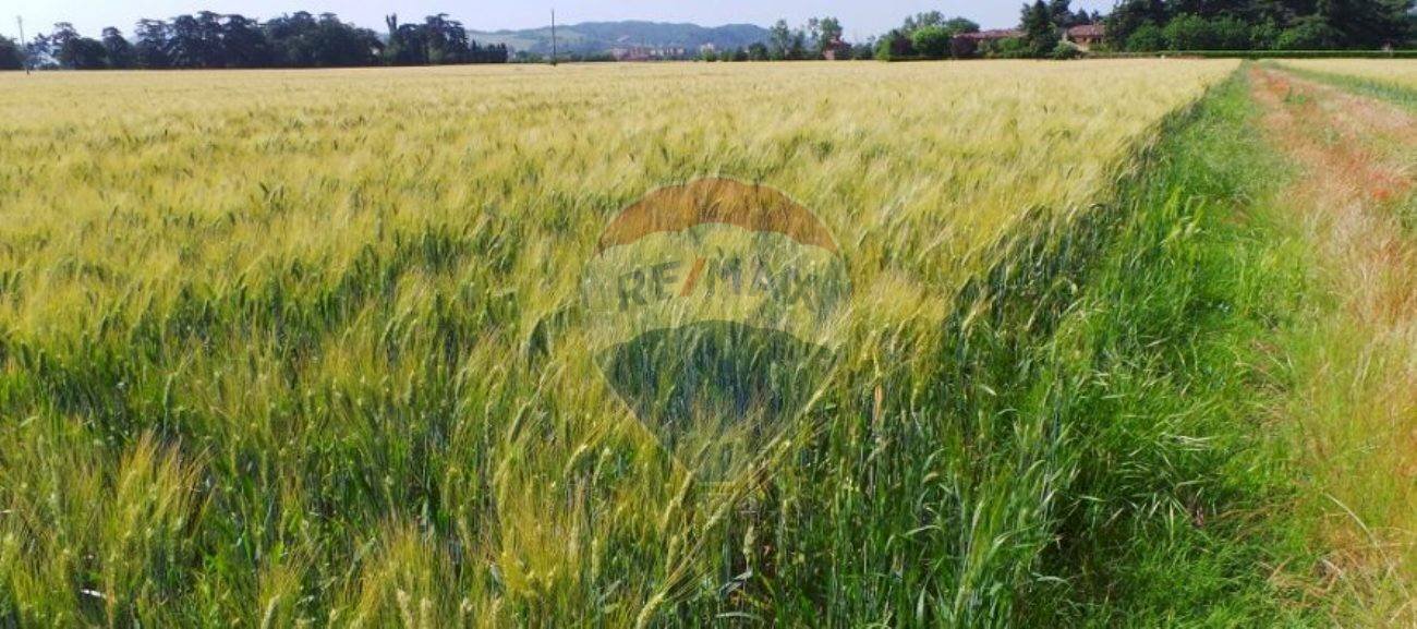 terreno - Terreno edificabile Contrada Le Schiette
 
snc, Riesi - foto 3