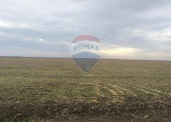 Vista terreno - Terreno edificabile Contrada Le Schiette
 
snc, Riesi - foto 2