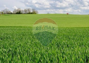 Terreno - Terreno edificabile Contrada Le Schiette
 
snc, Riesi - foto 4
