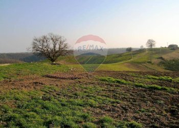 Giardino - Terreno edificabile Contrada Le Schiette
 
snc, Riesi - foto 6