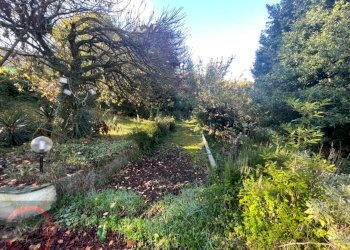 Foto 51 - Villa a Schiera via variante, Sezze - foto 51