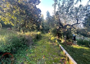 Foto 52 - Villa a Schiera via variante, Sezze - foto 52