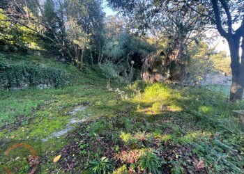 Foto 58 - Villa a Schiera via variante, Sezze - foto 58