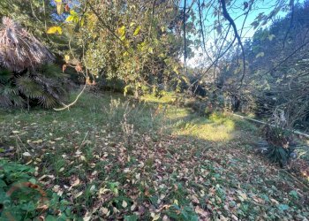 Foto 63 - Villa a Schiera via variante, Sezze - foto 63