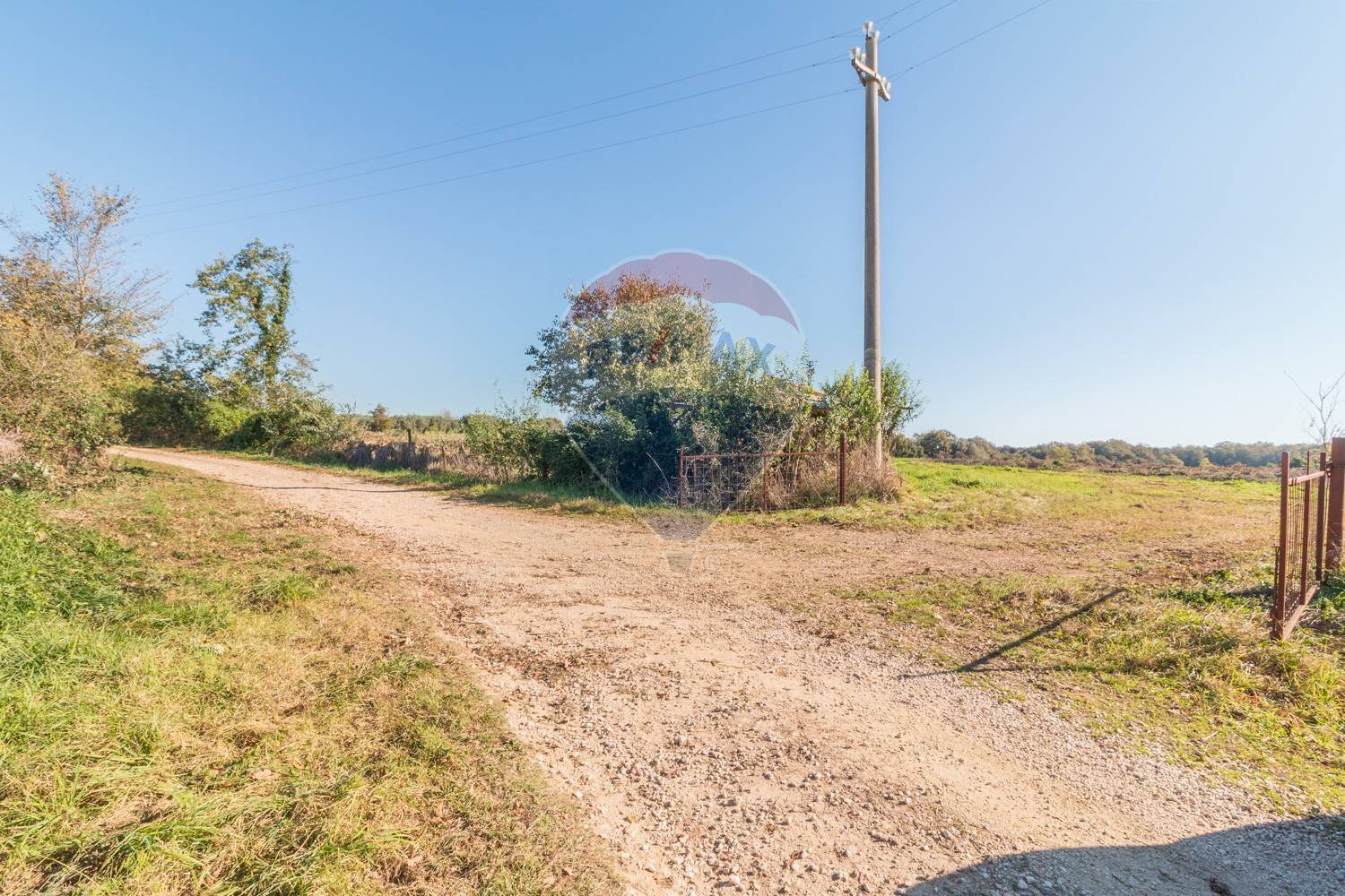 Giardino - Terreno agricolo Ischia di Castro - foto 2