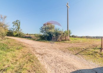 Giardino - Terreno agricolo Ischia di Castro - foto 2