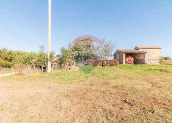 Giardino - Terreno agricolo Ischia di Castro - foto 5