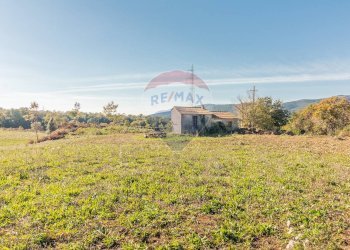 Giardino - Terreno agricolo Ischia di Castro - foto 8