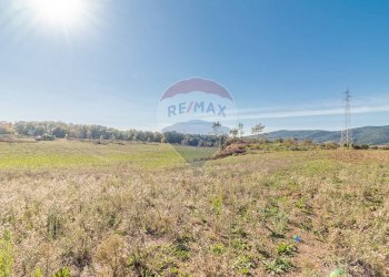 Vista delle montagne - Terreno agricolo Ischia di Castro - foto 10