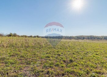 Giardino - Terreno agricolo Ischia di Castro - foto 11
