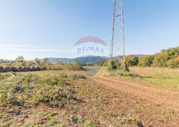 Vista delle montagne - Terreno agricolo Ischia di Castro - foto 12
