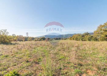 Vista delle montagne - Terreno agricolo Ischia di Castro - foto 13