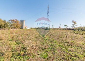 Giardino - Terreno agricolo Ischia di Castro - foto 14