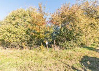 Giardino - Terreno agricolo Ischia di Castro - foto 16