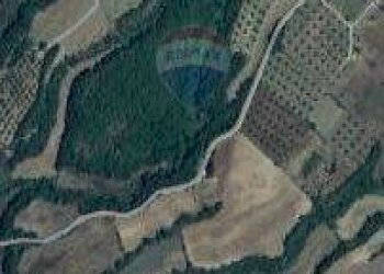 Posizione della mappa - Terreno agricolo Ischia di Castro - foto 18