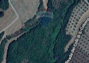 Posizione della mappa - Terreno agricolo Ischia di Castro - foto 20