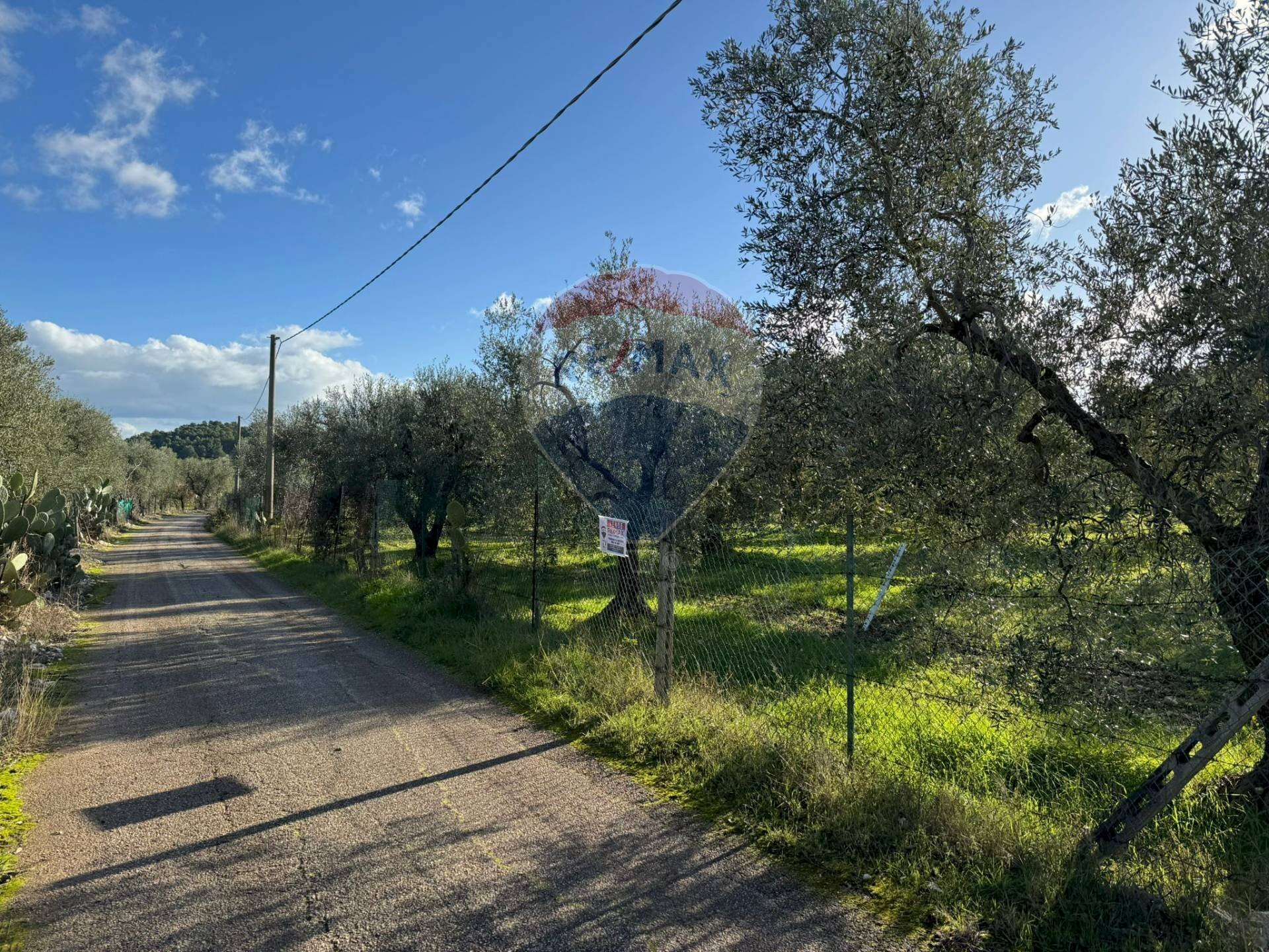 terreno - Agricultural land Lama Le Botti, Vieste - photo 2