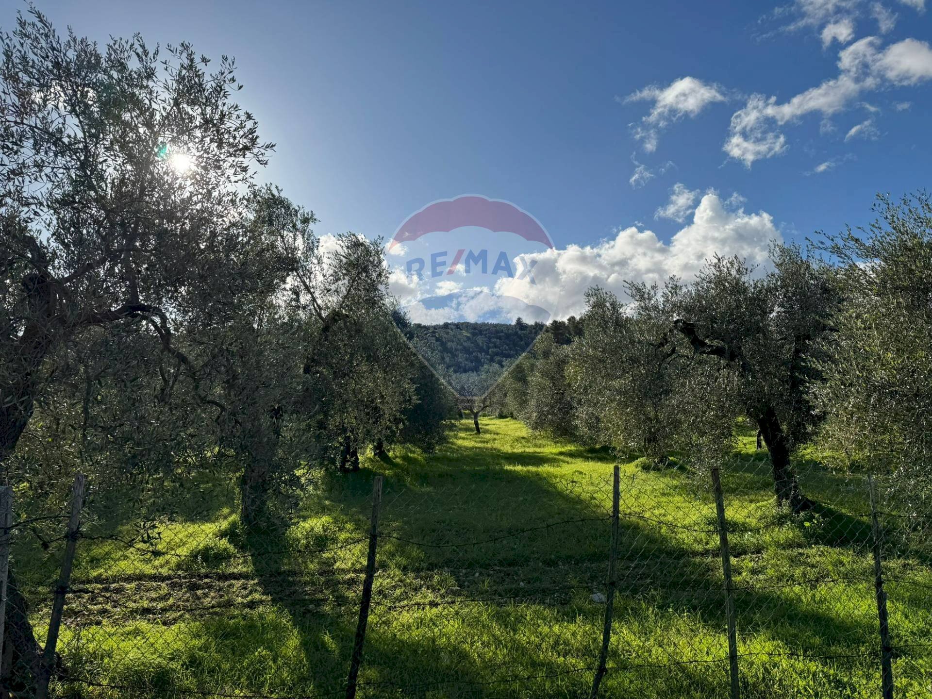 terreno - Agricultural land Lama Le Botti, Vieste - photo 3