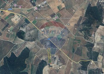 mappa - Terreno agricolo Lama Le Botti, Vieste - foto 1