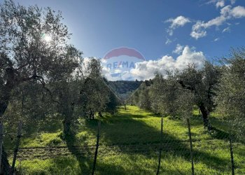 terreno - Terreno agricolo Lama Le Botti, Vieste - foto 3