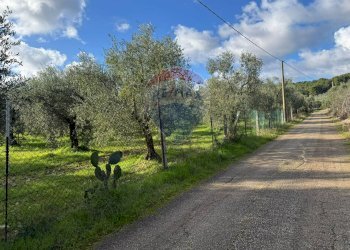 terreno - Terreno agricolo Lama Le Botti, Vieste - foto 4