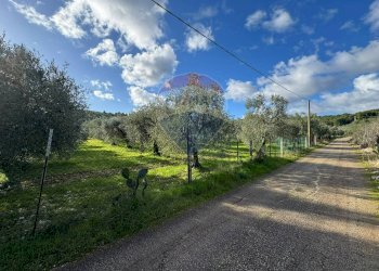 terreno - Terreno agricolo Lama Le Botti, Vieste - foto 7