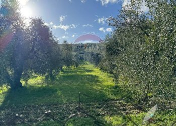 terreno - Terreno agricolo Lama Le Botti, Vieste - foto 8