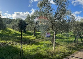 terreno - Terreno agricolo Lama Le Botti, Vieste - foto 9